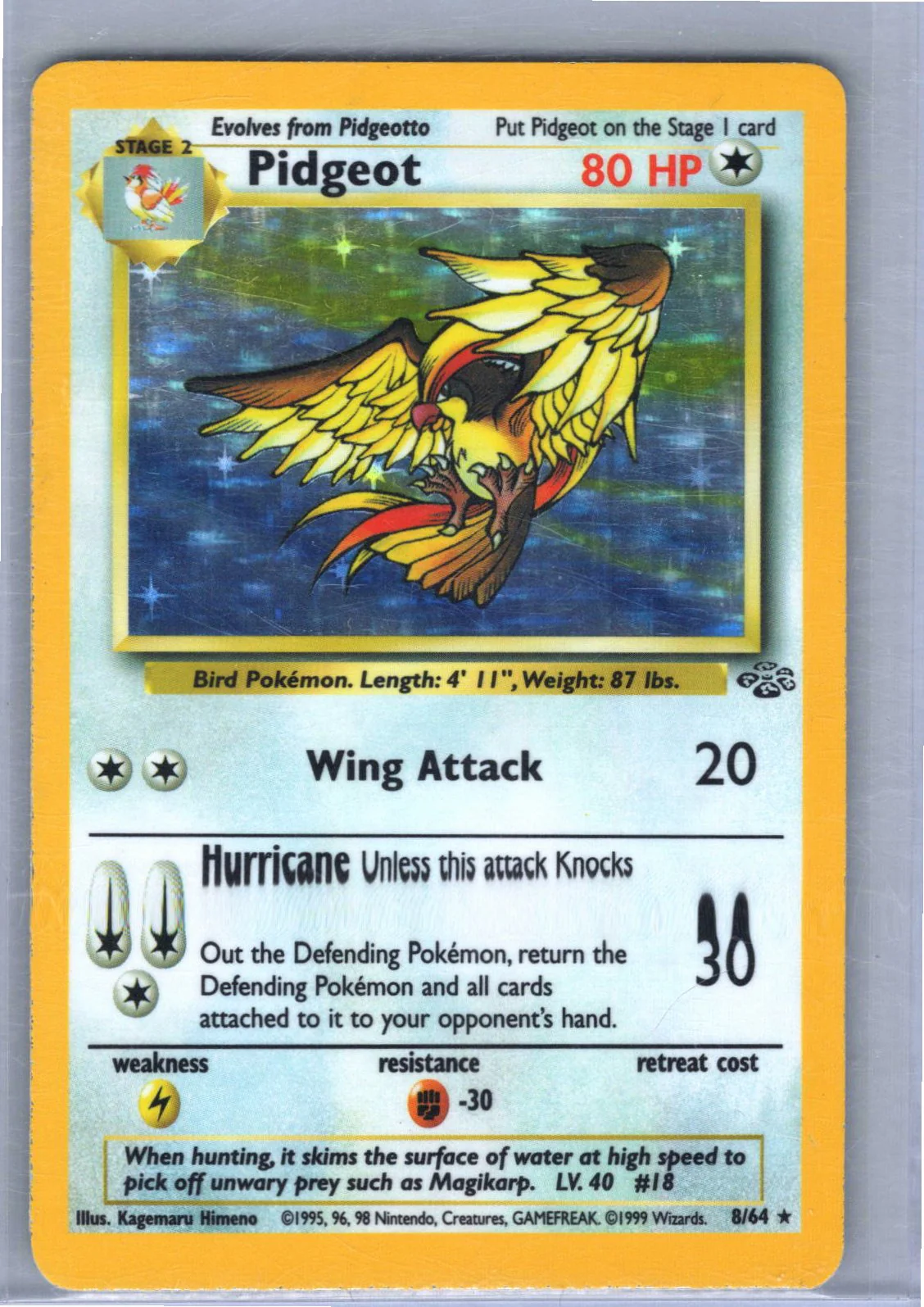 Pidgeot (8) Jungle 08/64